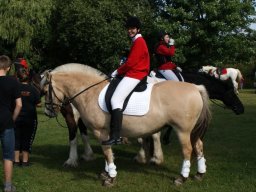 558237_10151090367893585_874353157_n